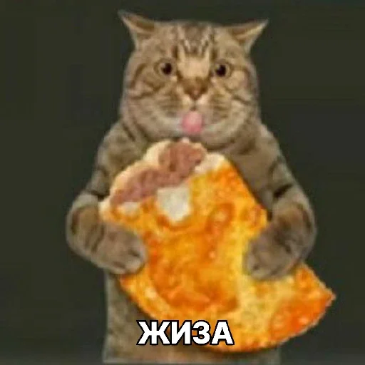 Sticker Metaironiyastickers - 1