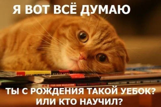 Sticker MetodXIT4a_by_TgEmodziBot - 1