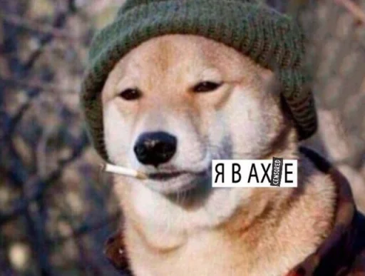 Sticker MetodXIT4a_by_TgEmodziBot - 1