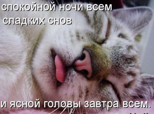 Sticker MetodXIT4a_by_TgEmodziBot - 1