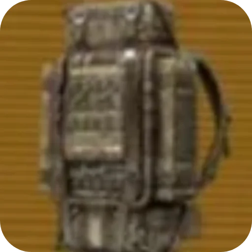 bag luggage and bags accessory