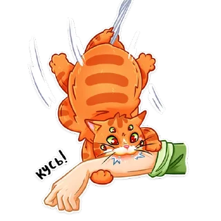 Стикер Паукоты - 8