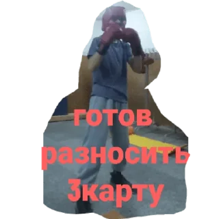 Sticker Mt team🇸🇪 - 2