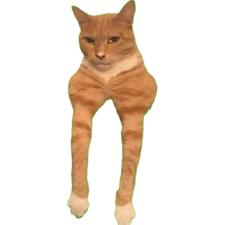 Стикер MEWING - 4