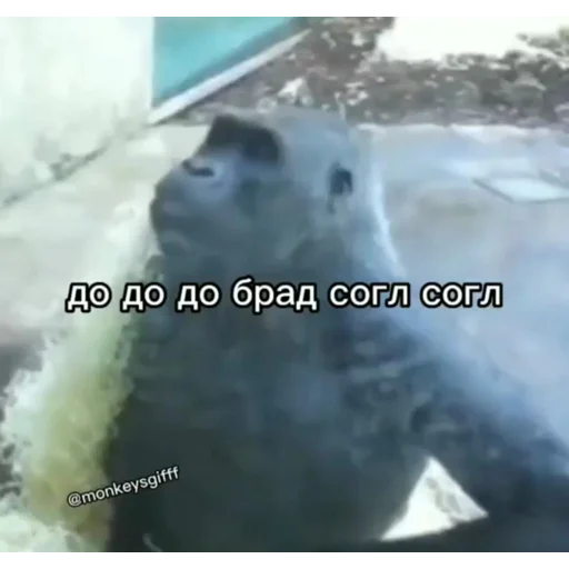 Sticker Mewtwo_by_m1khailbr_stickerbot - 1