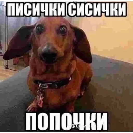 Sticker Mewtwo_by_m1khailbr_stickerbot - 1