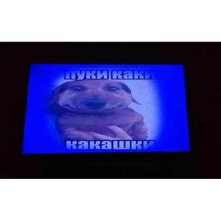 Sticker Мьюту соло | @m1khailbr_stickerbot - 1