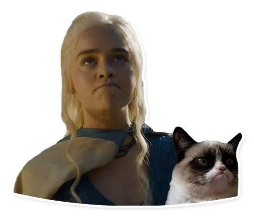 животное домашняя кошка млекопитающее