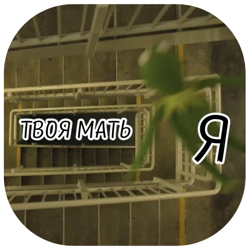 screenshot green plant