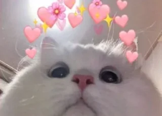 Стикер @tv_tv9–@Daymg1 - 3