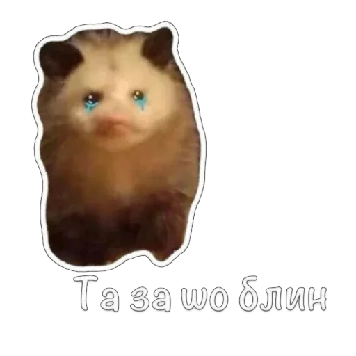 Стикер MgmPuk - 1