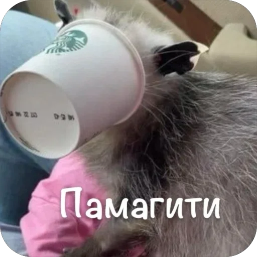 Стикер MgmPuk - 1