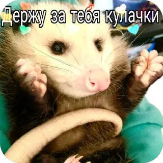 Sticker Мгм пук - 7