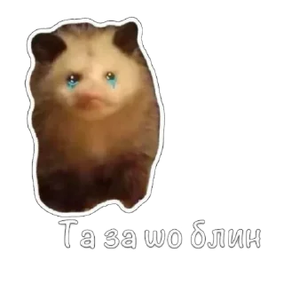 Sticker Мгм пук - 5