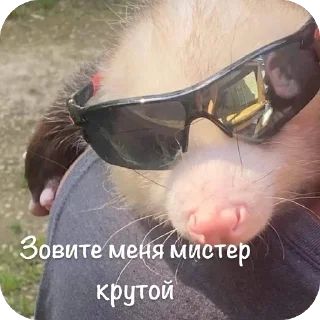 Sticker Мгм пук - 6