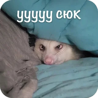 Sticker Мгм пук - 10