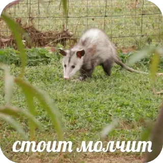 Sticker Мгм пук - 8