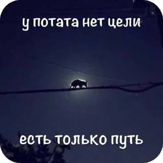 Sticker Мгм пук - 1