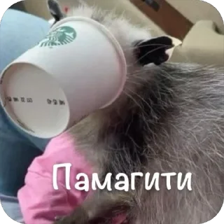 Sticker Мгм пук - 3