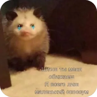 Sticker Мгм пук - 0