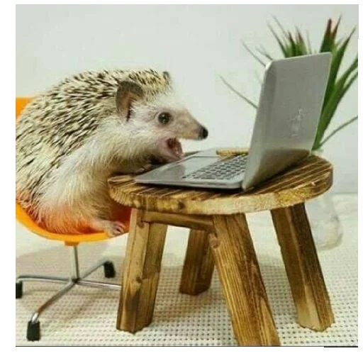 Sticker Mig_UPADi - 1