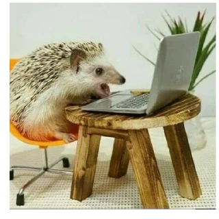 Sticker Міг УПАДІ - 5