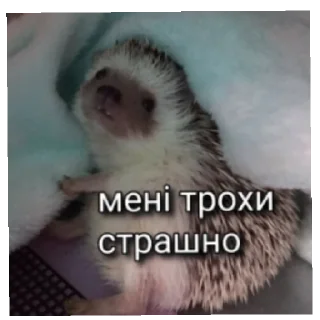 Sticker Міг УПАДІ - 1