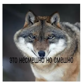 Sticker Міг УПАДІ - 10