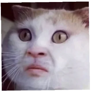 Sticker Міг УПАДІ - 6