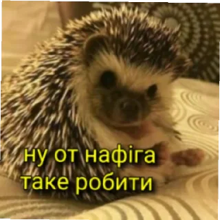 Sticker Міг УПАДІ - 2