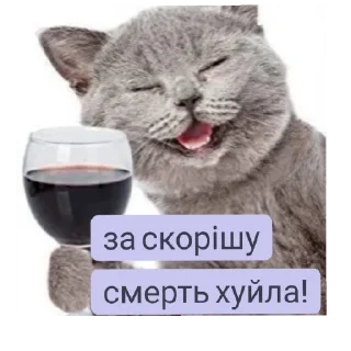 Sticker Міг УПАДІ - 9