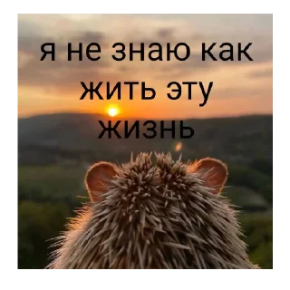 Sticker Міг УПАДІ - 0