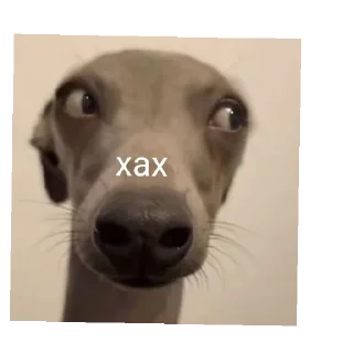 Sticker Міг УПАДІ - 4