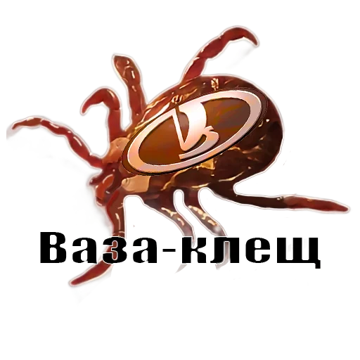 invertebrate animal acarine