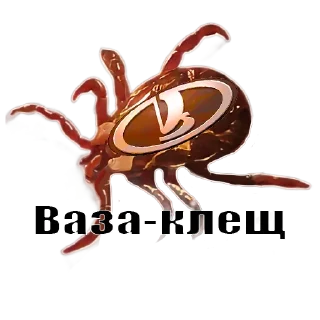 invertebrate animal acarine