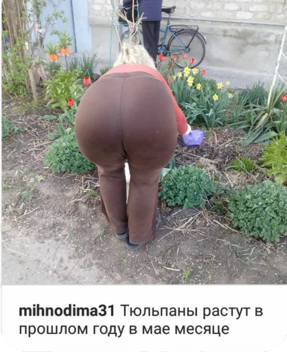 plant outdoor footwear