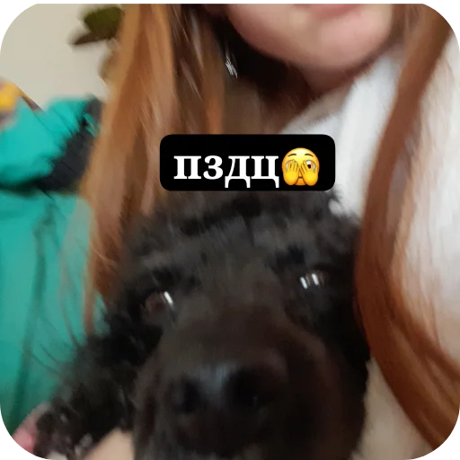 Sticker MikDlyaZhizni - 1