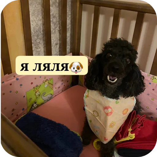 мик для жизни - 