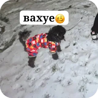 Стикер мик для жизни - 5