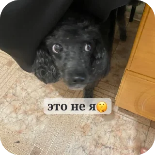 Стикер мик для жизни - 2