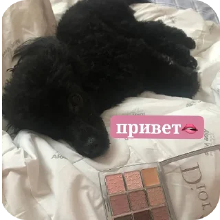 Стикер мик для жизни - 1