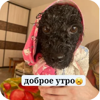 Стикер мик для жизни - 8