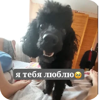 Стикер мик для жизни - 7