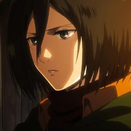 Mikasa - 
