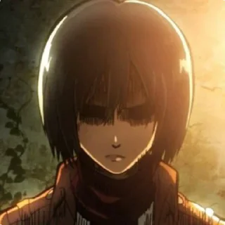 Стикер Mikasa - 2