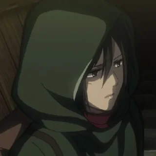 Стикер Mikasa - 11