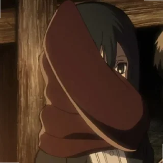 Стикер Mikasa - 0