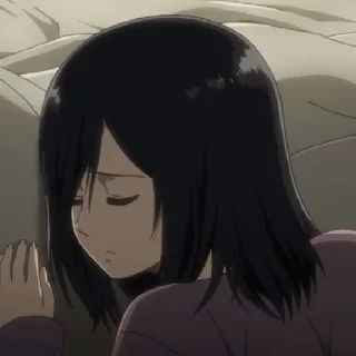 Sticker Mikasa 2 - 5