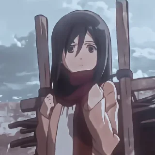 Стикер Mikasa - 8