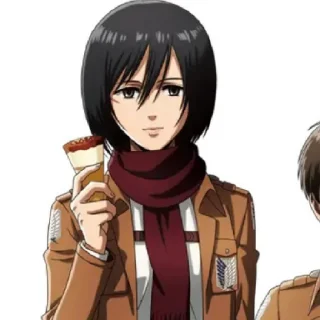 Стикер Mikasa - 6